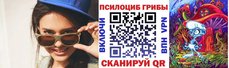 Галлюциногенные грибы Psilocybe  ОМГ ОМГ зеркало  Светогорск  где купить наркотик 